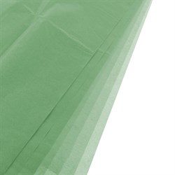 Набор упак.бумаги Тишью, 51x66см (10шт) цвет Светло-зеленый - фото 80517