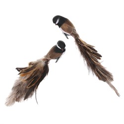 Птица с зажимом,  40 см, с коричневым хвостом из страусиных перьев (2 вида) - фото 80681