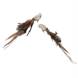 Птица с зажимом, 50 см,  с хвостом из натуральных смешанных перьев бежево-коричневая (2 вида) - фото 80685