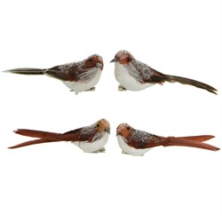 Птичка на зажиме 4 в асс., L4.5-W16-H5.5cm, цвет: янтарный/коричневый Набор из 2-х штук - фото 84060
