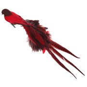 Птица красная 70см, с хвостом из натурального смешанного пера, с зажимом