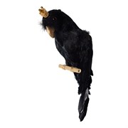 Птица черная на ветке  14x13x42см
