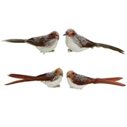 Птичка на зажиме 4 в асс., L4.5-W16-H5.5cm, цвет: янтарный/коричневый Набор из 2-х штук
