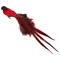 Птица красная 70см, с хвостом из натурального смешанного пера, с зажимом - фото 80682