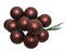 Гроздь стеклянных шаров на проволоке d2.5cм, 12шт по 12 шариков 144шт в уп., цвет: матовый красное д - фото 81169