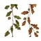 Гирлянда из дубовых листьев бархатная, L2-W20-H130см, 2 вида зеленая/коричневая - фото 83710