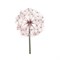 Цветок одуванчика пластиковый d17-h90cm, розовый - фото 83717